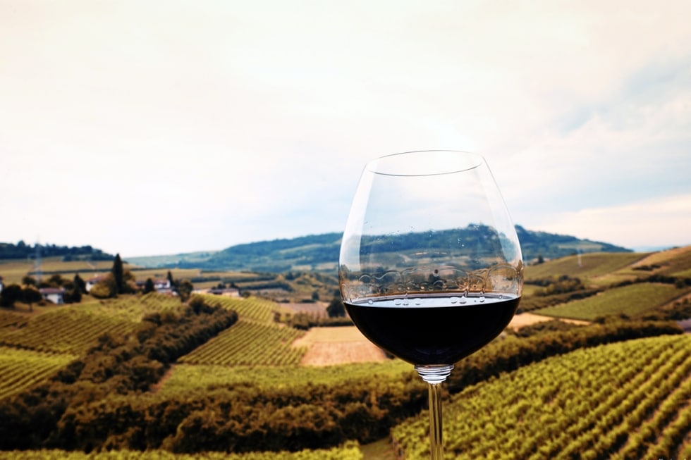 Collisioni Festival: 5 motivi per andare a Barolo questo weekend