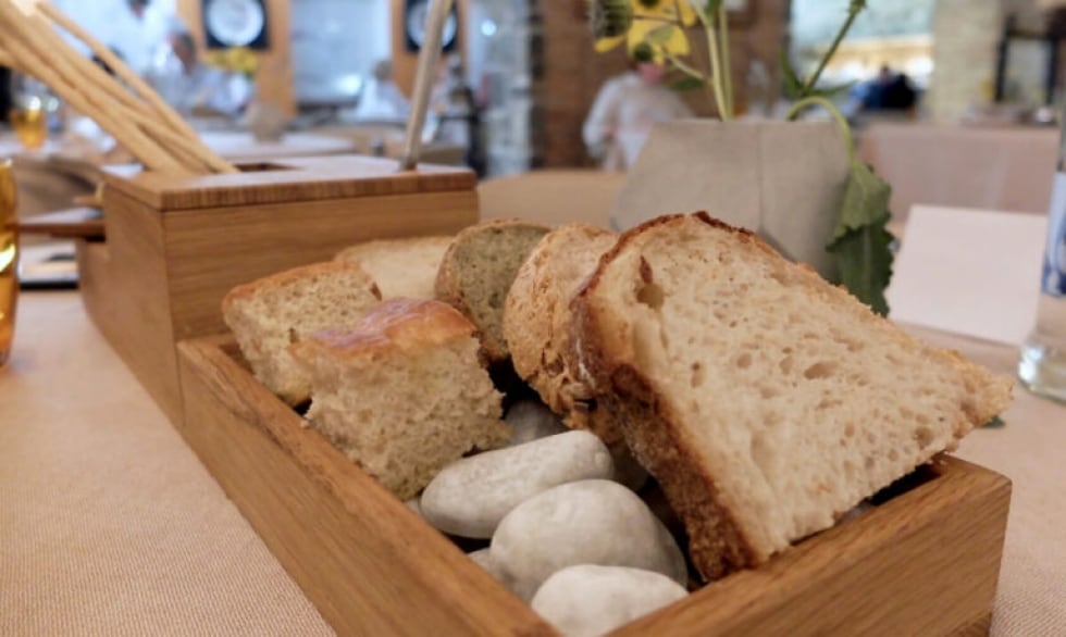 Vi raccontiamo il pane di corteccia che fa rivivere i boschi del Friuli