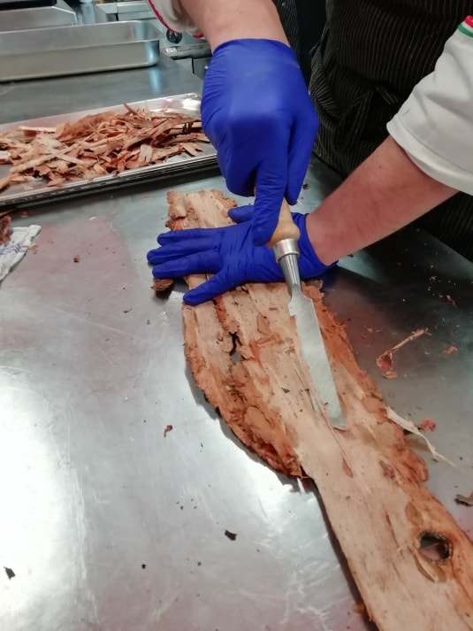 Vi raccontiamo il pane di corteccia che fa rivivere i boschi del Friuli