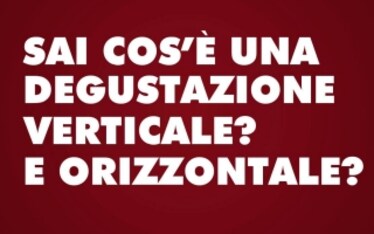 Degustazione orizzontale e verticale: la definizione