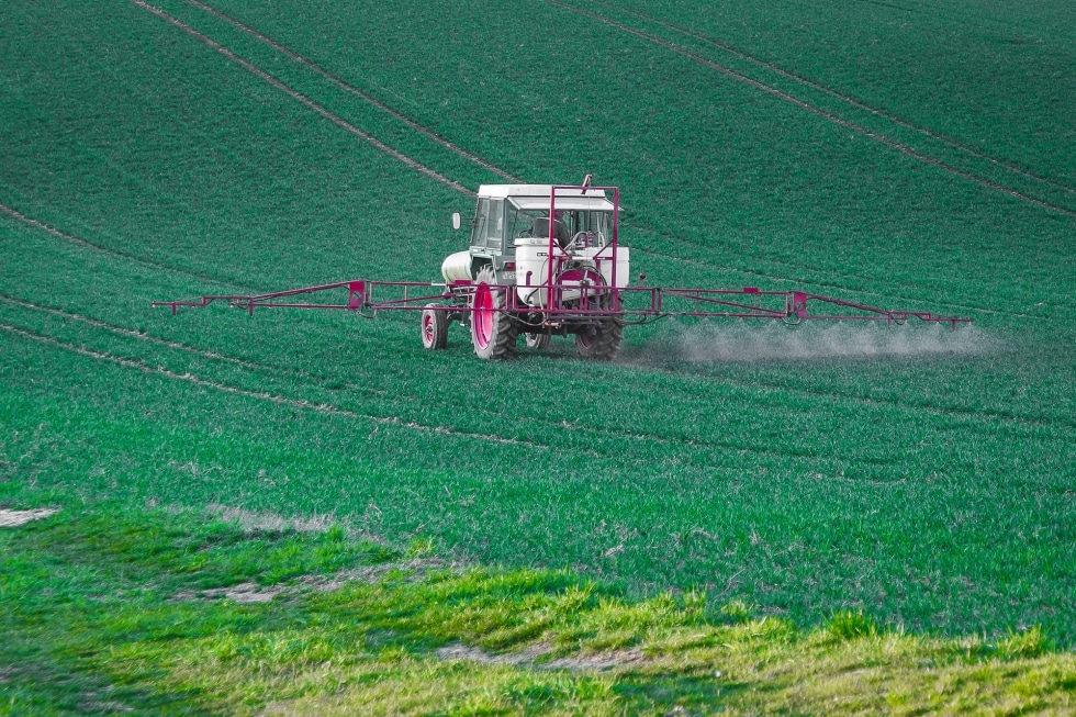 Glifosato: 5 cose da sapere sul diserbante più usato in agricoltura. I rischi per la salute e come evitarli