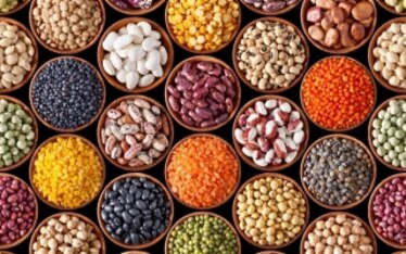 Glifosato: 5 cose da sapere sul diserbante più usato in agricoltura. I rischi per la salute e come evitarli