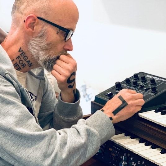 Vegani famosi, ecco i vip che non mangiano animali e derivati, come uova e formaggi