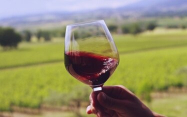 10 consigli per degustare un buon vino se non hai fatto il corso per sommelier 