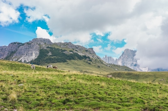 Trentingrana Stagionato 30 mesi: una nuova eccellenza dal Trentino