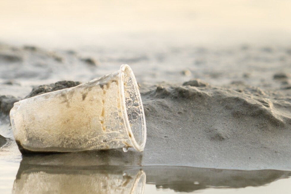 Bicchieri di plastica: l'Italia verso la decisione di non usarli più