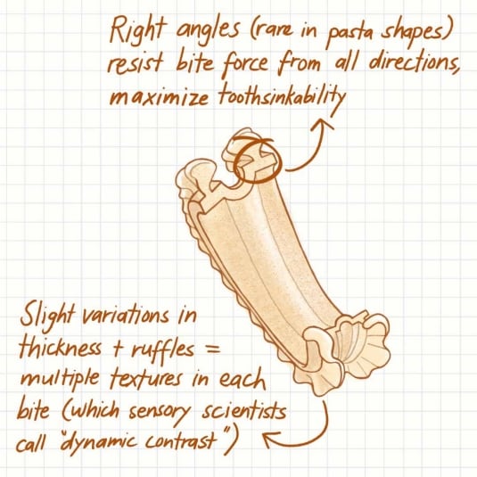Gli americani hanno inventato un nuovo tipo di pasta: i cascatelli. Ci puoi credere?
