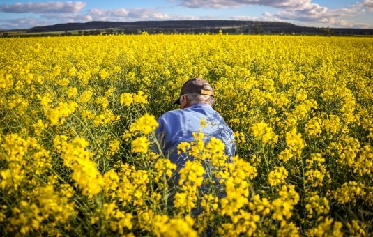 10 falsi miti alimentari spiegati per bene 
