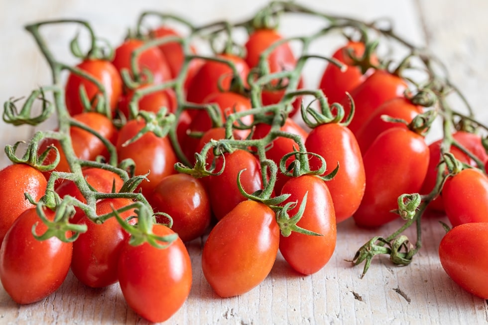 Giornata del pomodoro: l'impegno di Barilla per una filiera certificata e di qualità