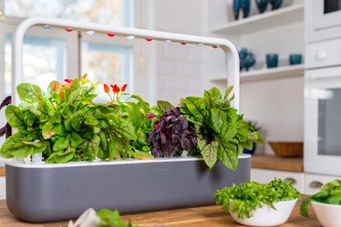 Da 8 a 150 euro, 12 regali di Natale per una cucina sostenibile