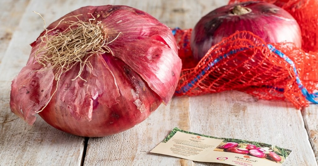 Cipolla di Breme proprietà, ricette e storia di un'eccellenza italiana Cucchiaio d'Argento Cipolla di Breme proprietà, ricette e storia di un'eccellenza italiana Cucchiaio d'Argento