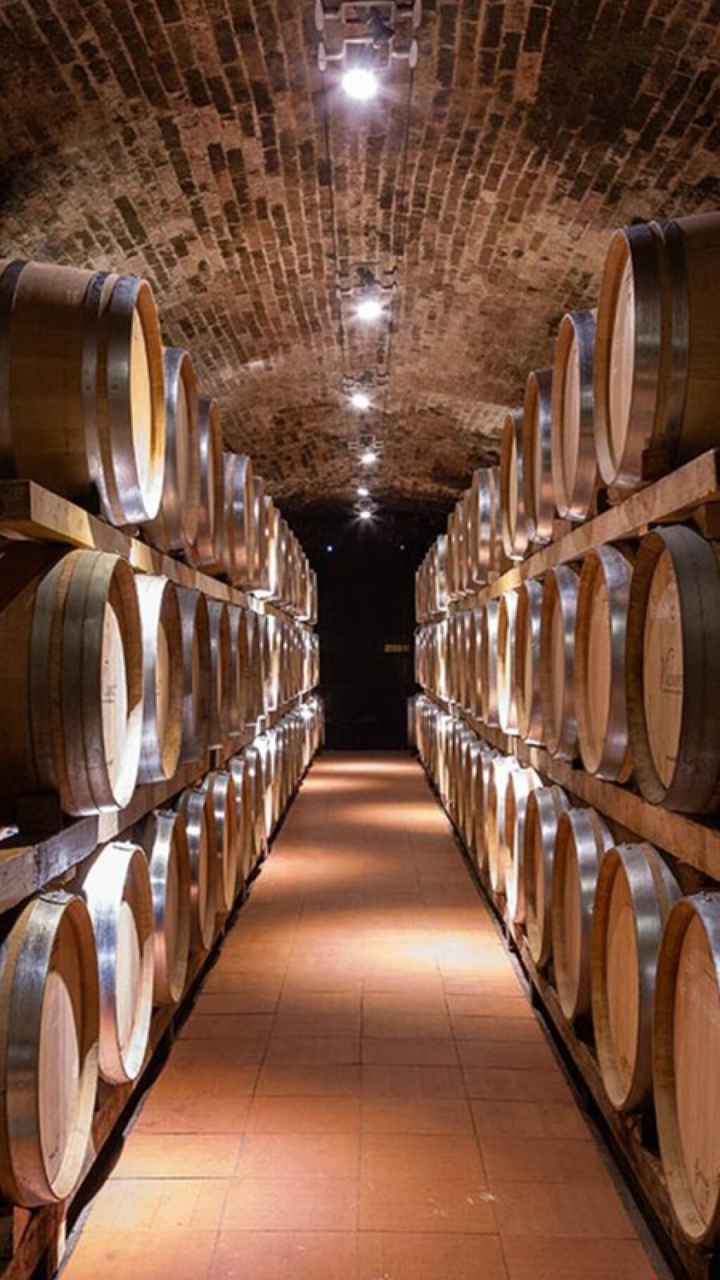Storie di vino e di famiglia: i 140 anni delle Tenute Piccini