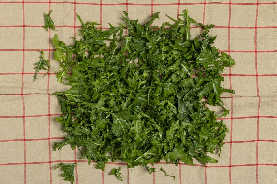 Come cucinare il tarassaco: proprietà, benefici e ricette