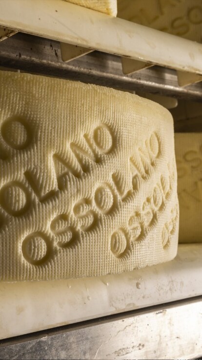 Ossolano DOP: il tesoro dell’Alto Piemonte da scoprire