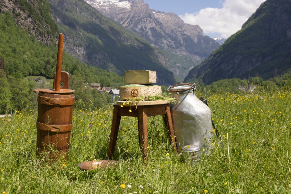 Ossolano DOP: il tesoro dell’Alto Piemonte da scoprire