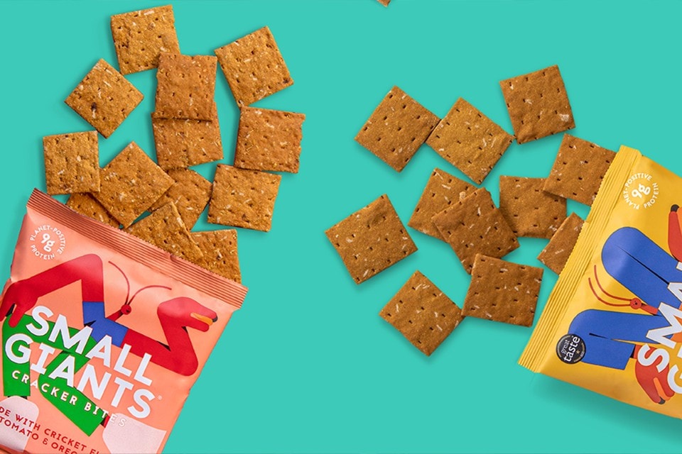 Cracker, pasta e polpette di insetti: li abbiamo assaggiati e vi diciamo tutto quello che c'è da sapere