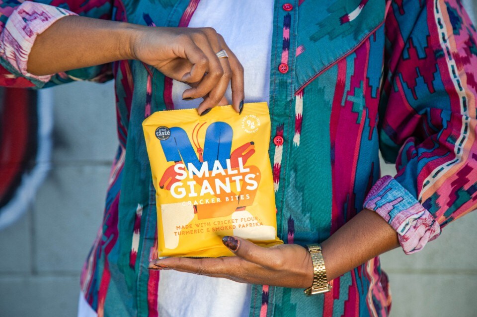 Cracker, pasta e polpette di insetti: li abbiamo assaggiati e vi diciamo tutto quello che c'è da sapere