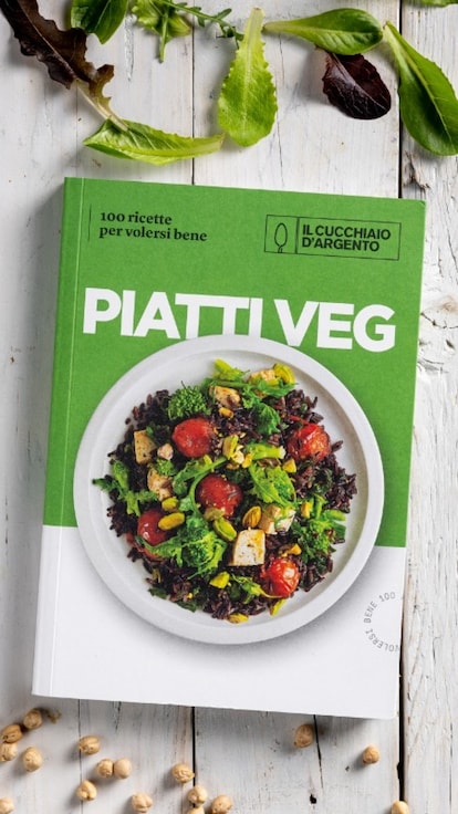 Piatti Veg. 100 ricette per volersi bene: il nostro nuovo libro di ricette vegetariane ora in libreria! 