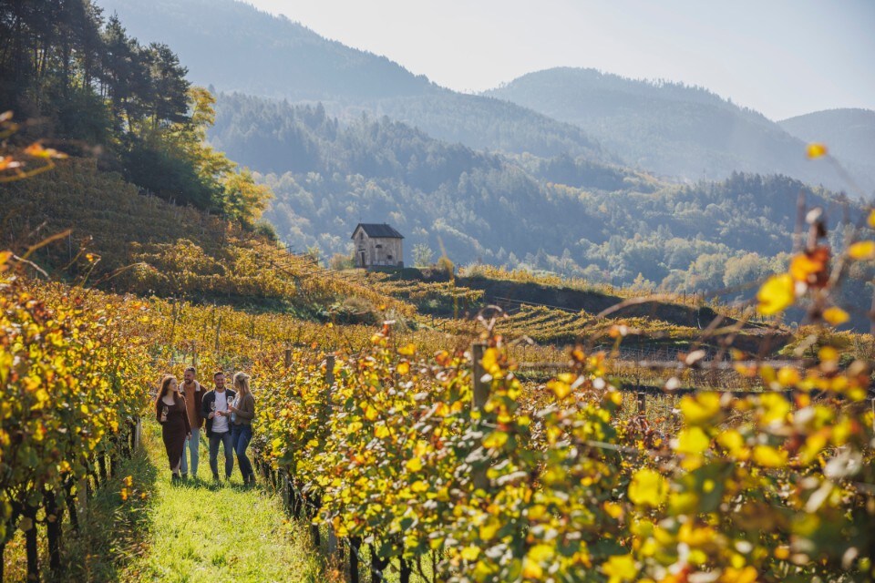 Cosa fare in Trentino in autunno tra desmontegade, vendemmia e buona tavola