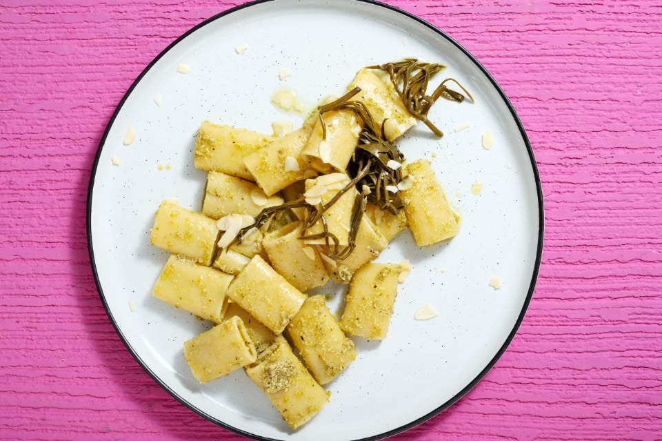 Pasta con pesto di paccasassi