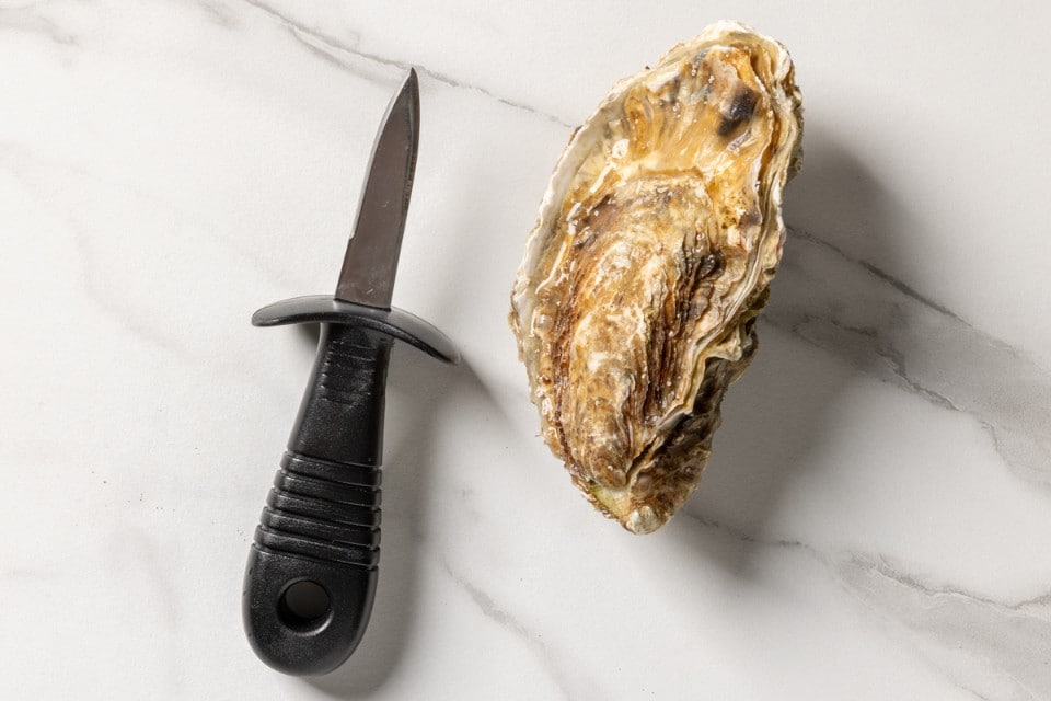Coltello da ostriche