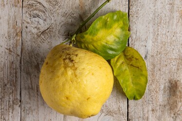 Che cos'è il cedro: un frutto antico che non passa mai di moda