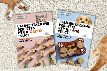 Ricette e consigli per i tuoi amici a quattro zampe. Nasce la Ciotola d'Argento