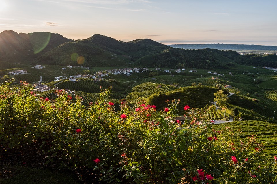 Col Vetoraz premi internazionali 2025