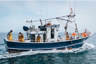 Quando il mare entra nel carrello: tornano le Settimane della Pesca Sostenibile