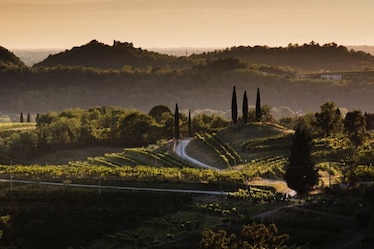 Questa passeggiata tra le vigne di Livio Felluga e l’Abbazia di Rosazzo è un'occasione da non perdere