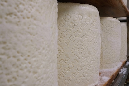 Pecorino Romano DOP: origini, proprietà nutrizionali e versatilità in cucina