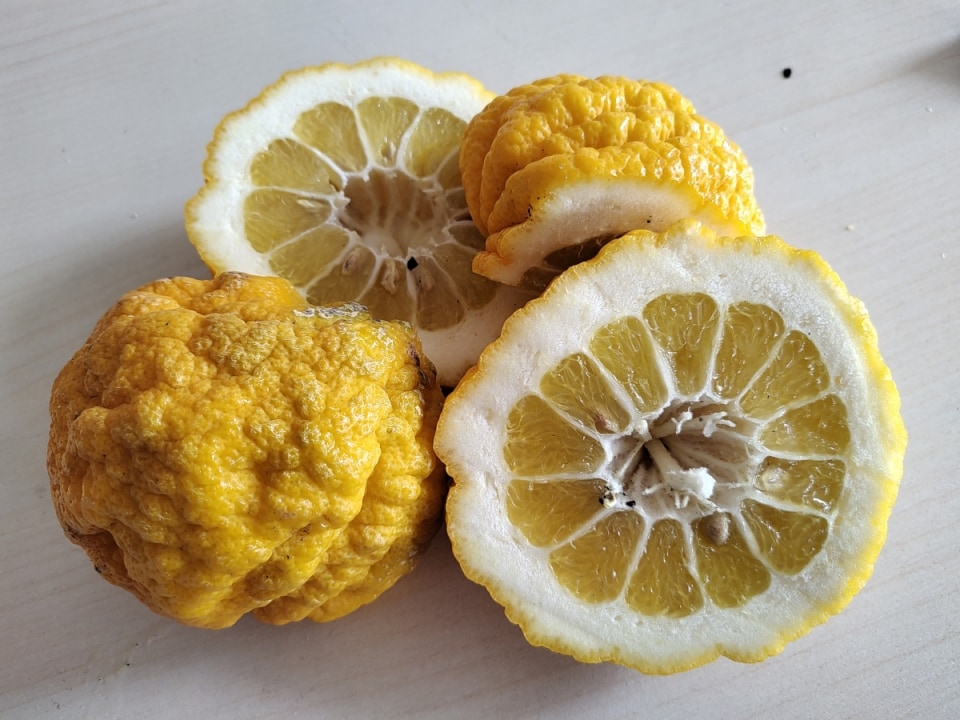 Cos’è la pompìa? Storia di un agrume sardo ancora da scoprire