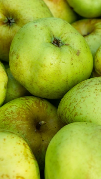 Farina di mele: una novità tutta da esplorare