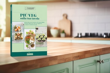 Ora in libreria "PIÙ VEG sulla tua tavola", il terzo volume della nuova collana No Stress