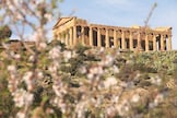 Mandorlo in Fiore 2026: ecco perché visitare Agrigento a marzo