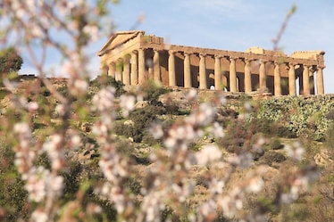 Mandorlo in Fiore 2026: ecco perché visitare Agrigento a marzo