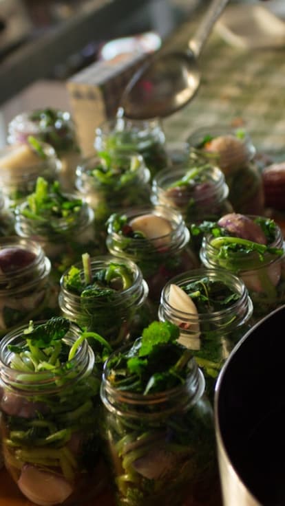 Festival del Pestith 2026: sul Lago di Barcis alla scoperta dei fermentati