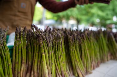 Giornata dell’asparago 2026: 3 sagre da non perdere in Italia