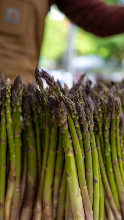 Giornata dell’asparago 2026: 3 sagre da non perdere in Italia