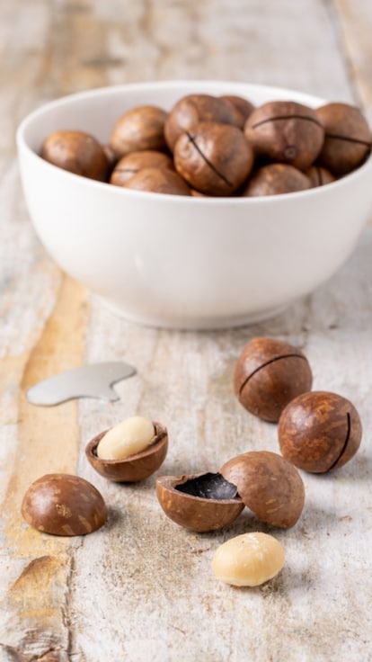 Noci macadamia tra benefici, proprietà e usi in cucina 