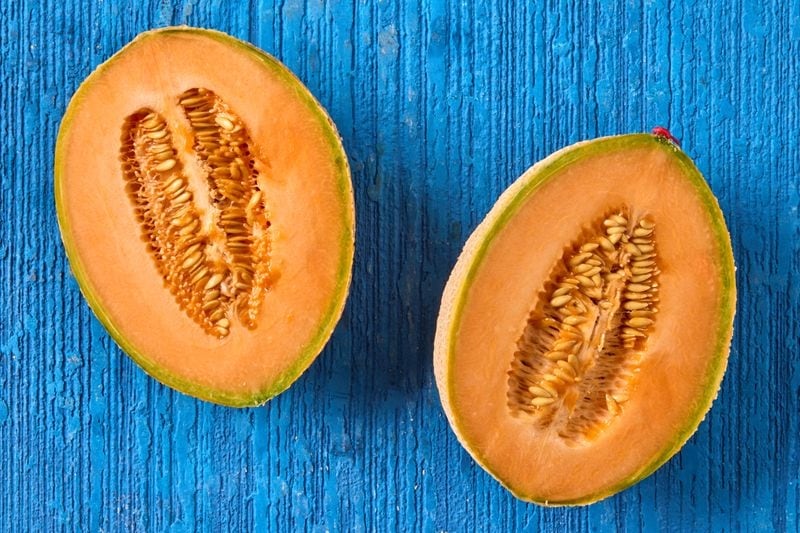 Melone retato