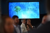 Pesce azzurro, salute e sostenibilità: Delicius guarda al futuro del mare