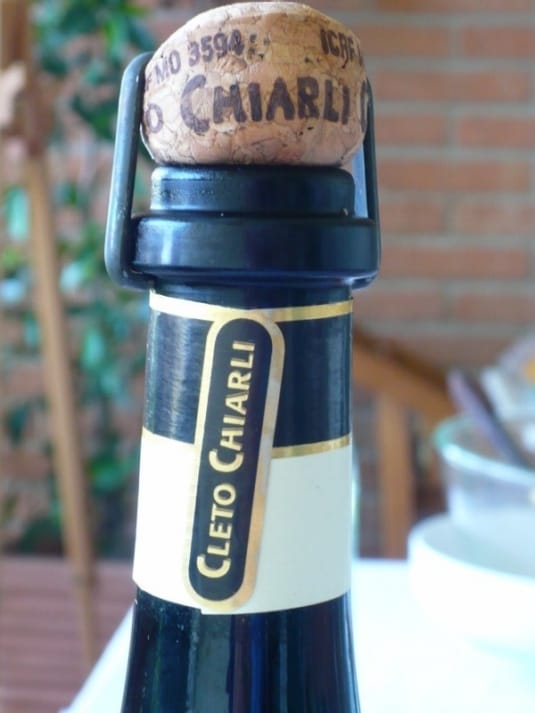 DOC Lambrusco Grasparossa di Castelverto "Vigneto Enrico Cialdini" - Cleto Chiarli 2009 [7.2]