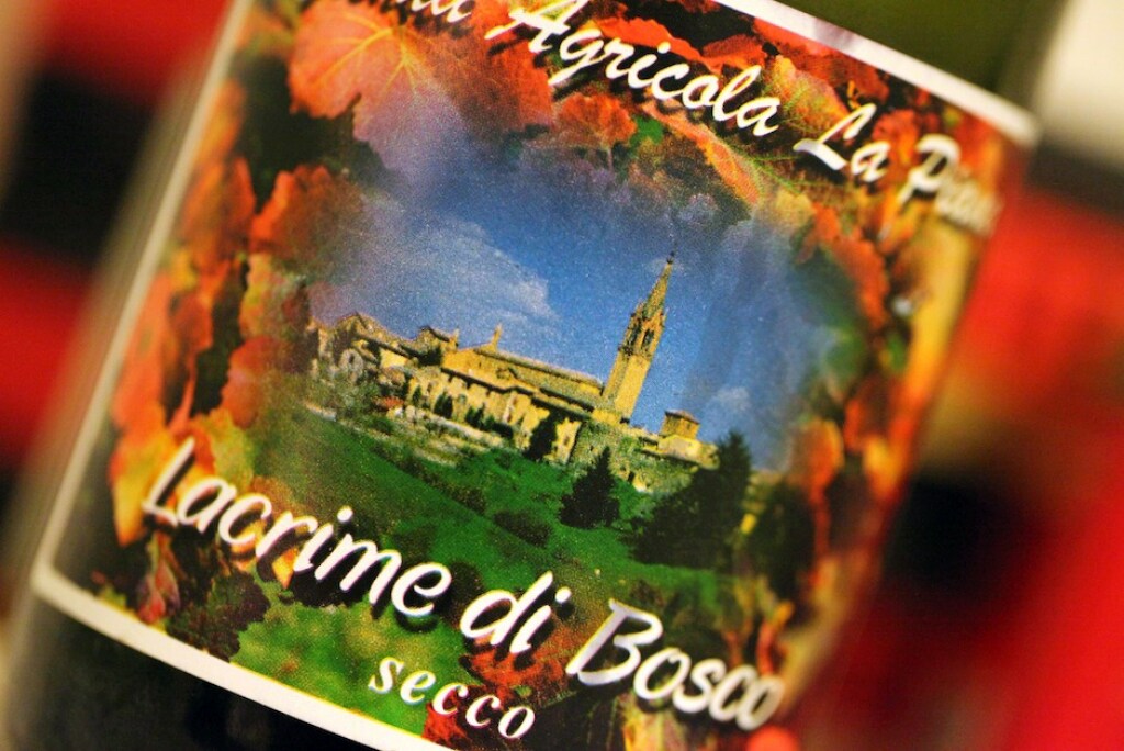 DOP Lambrusco Grasparossa di Castelvetro DOP Lambrusco Grasparossa di Castelvetro