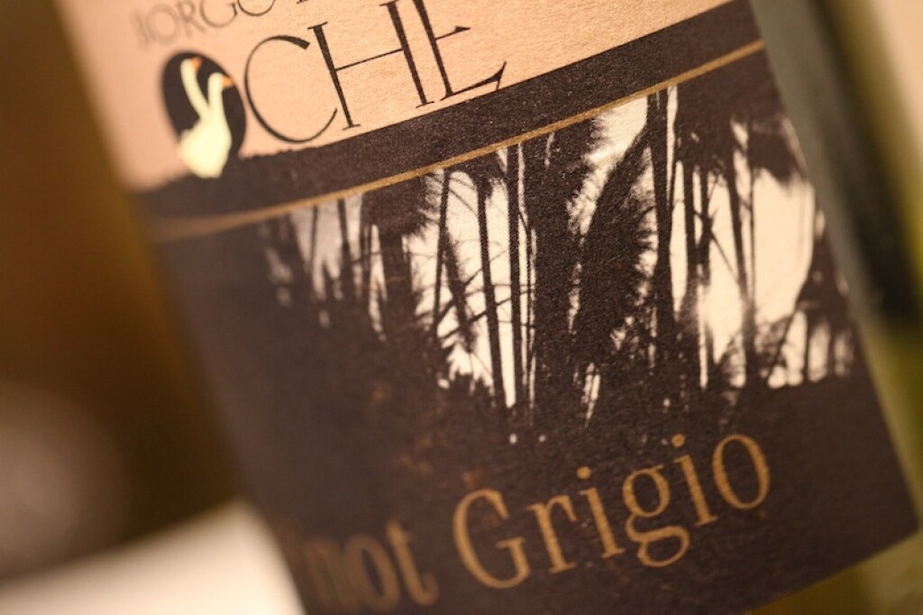 IGT Venezia Giulia Pinot Grigio - Borgo delle Oche 2010 ricetta IGT Venezia Giulia Pinot Grigio - Borgo delle Oche 2010
