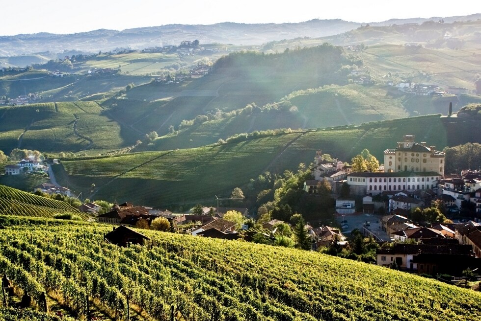 Barolo