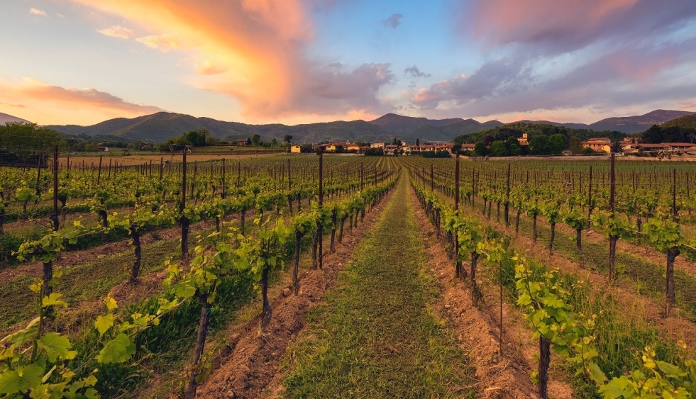 Franciacorta