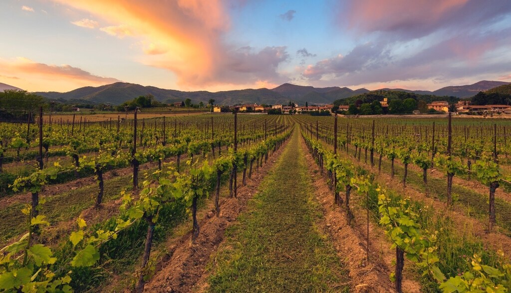 Franciacorta ricetta Franciacorta