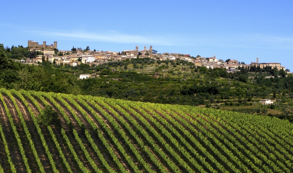 Brunello di Montalcino