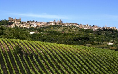 Brunello di Montalcino